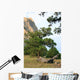 Rocks Landscape