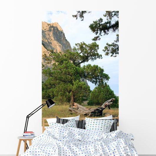 Rocks Landscape