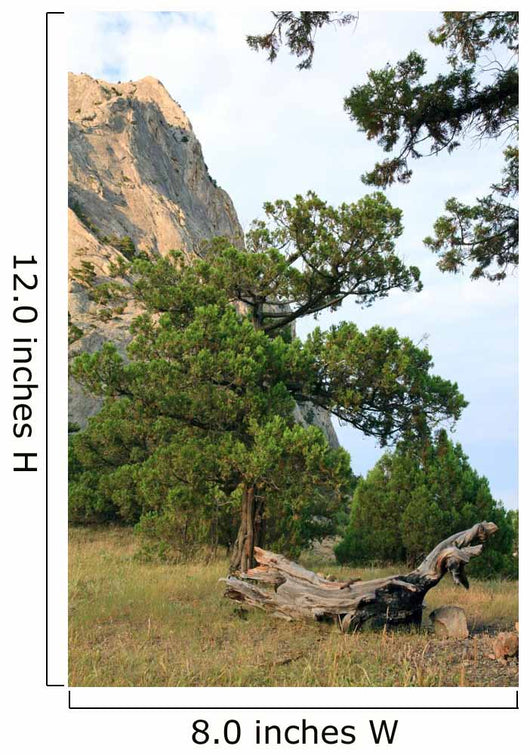 Rocks Landscape