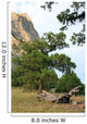 Rocks Landscape