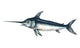 Hand Drawn Swordfish Wall Decal