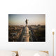 Aerial Trenton New Jersey Battle Monument Wall Decal