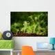 Six seedlings growing from soil Wall Mural