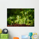 Six seedlings growing from soil Wall Mural