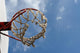 Basketball Hoop Wall Mural