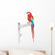 Green Wings Macaw with Wall Mural