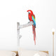 Green Wings Macaw with Wall Mural