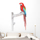 Green Wings Macaw with Wall Mural