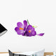 Crocus