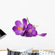 Crocus
