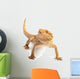 excepted reptile in front of white background Wall Decal