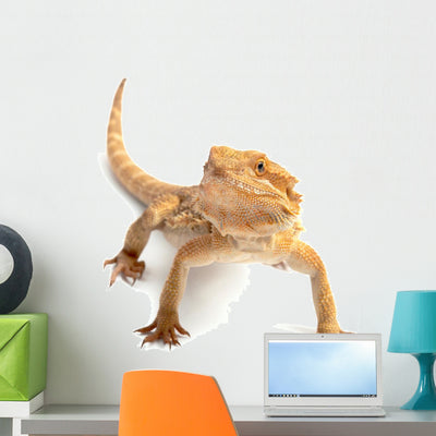 Excepted Reptile Front White Wall Decal shown on a wall