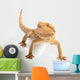 excepted reptile in front of white background Wall Decal