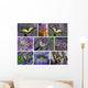 Machaons Et Fleurs Violettes Wall Mural