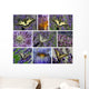 Machaons Et Fleurs Violettes Wall Mural
