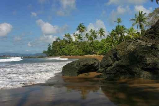 Plage Du Parc Corcovado Wall Decal Design 2