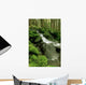 Sol Duc Watershed, Olympic National Park, Washington State Wall Mural