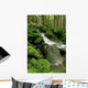 Sol Duc Watershed, Olympic National Park, Washington State Wall Mural