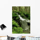 Sol Duc Watershed, Olympic National Park, Washington State Wall Mural