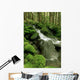 Sol Duc Watershed, Olympic National Park, Washington State Wall Mural