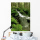 Sol Duc Watershed, Olympic National Park, Washington State Wall Mural