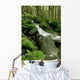 Sol Duc Watershed, Olympic National Park, Washington State Wall Mural
