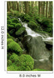 Sol Duc Watershed, Olympic National Park, Washington State Wall Mural