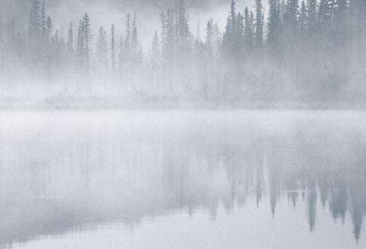 Winchell Lake, Water Valley, Alberta, Canada Wall Mural