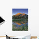 Fv3592, Natural Moments Photography Wall Mural