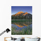 Fv3592, Natural Moments Photography Wall Mural