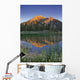 Fv3592, Natural Moments Photography Wall Mural