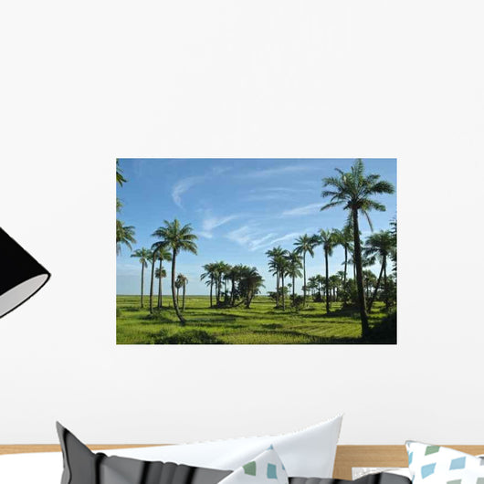 Rice Field Casamance Senegal Wall Decal