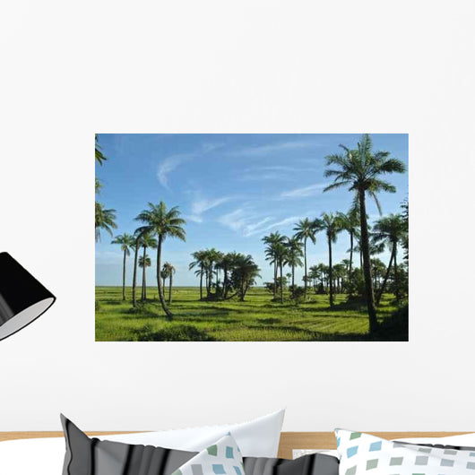 Rice Field Casamance Senegal Wall Decal