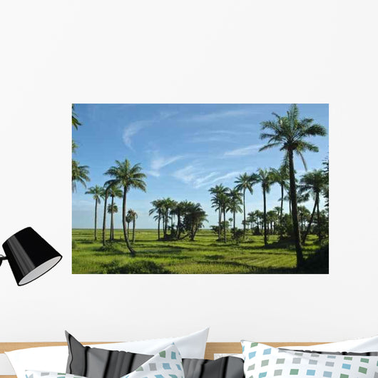 Rice Field Casamance Senegal Wall Decal