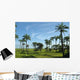 Rice Field Casamance Senegal Wall Decal