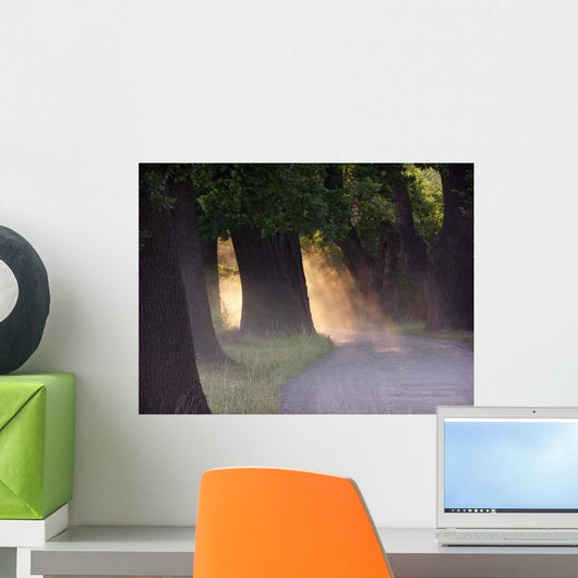 Sunset Oaks Wall Decal