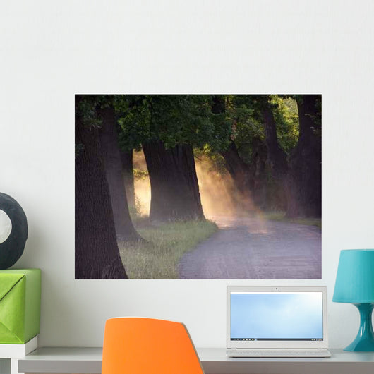 Sunset Oaks Wall Decal