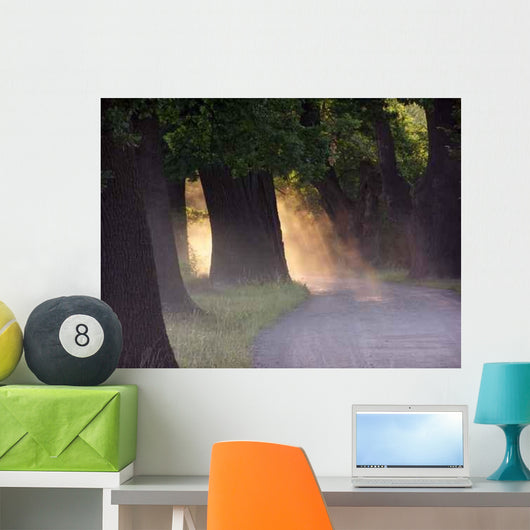 Sunset Oaks Wall Decal