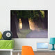 Sunset Oaks Wall Decal
