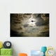 Plane In Flight Wall Mural