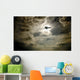 Plane In Flight Wall Mural