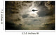 Plane In Flight Wall Mural