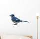 Processed by: Helicon Filter;  OLYMPUS DIGITAL CAMERA Wall Decal