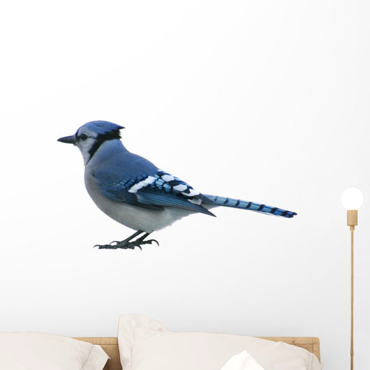 Processed by: Helicon Filter;  OLYMPUS DIGITAL CAMERA Wall Decal