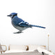 Processed by: Helicon Filter;  OLYMPUS DIGITAL CAMERA Wall Decal