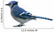 Processed by: Helicon Filter;  OLYMPUS DIGITAL CAMERA Wall Decal