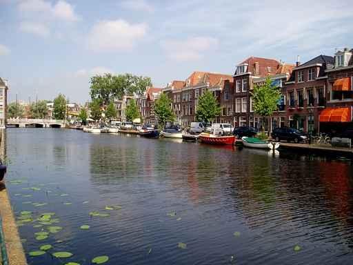 Leiden Wall Decal
