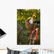Bicycle With Full Basket Wall Mural