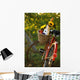 Bicycle With Full Basket Wall Mural