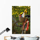 Bicycle With Full Basket Wall Mural